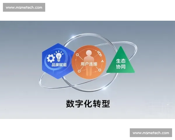 基于创新商业模式的数字化转型路径与未来发展趋势分析 基于创新商业模式的数字化转型路径与未来发展趋势分析